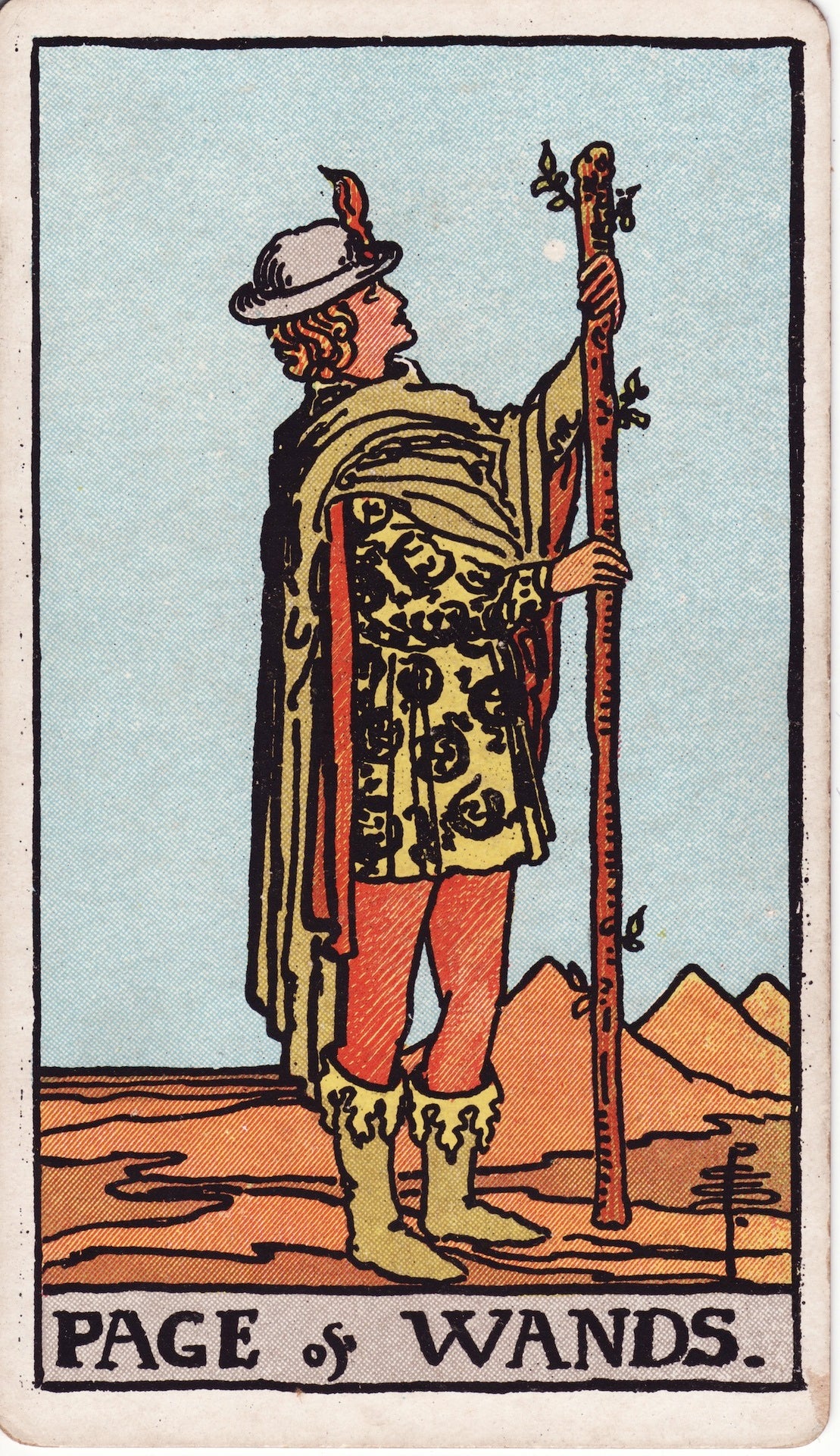 Rider Waite - Page of Wands