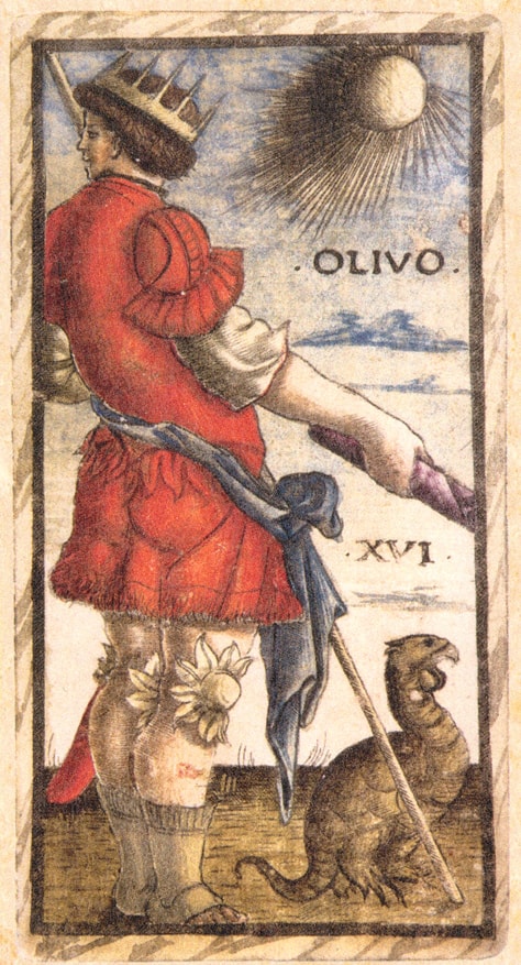 Sola Busca - Olivo XVI