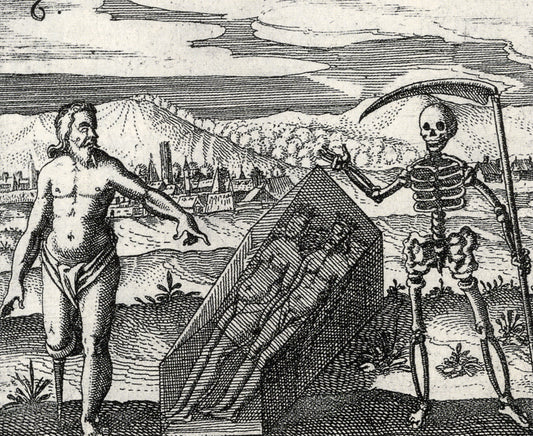 D. Stolcius von Stolcenberg - Viridarium Chymicum 3