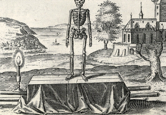 D. Stolcius von Stolcenberg - Viridarium Chymicum 4