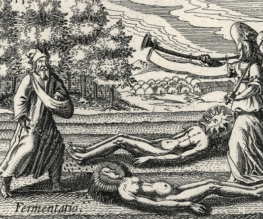 D. Stolcius von Stolcenberg - Viridarium Chymicum 5