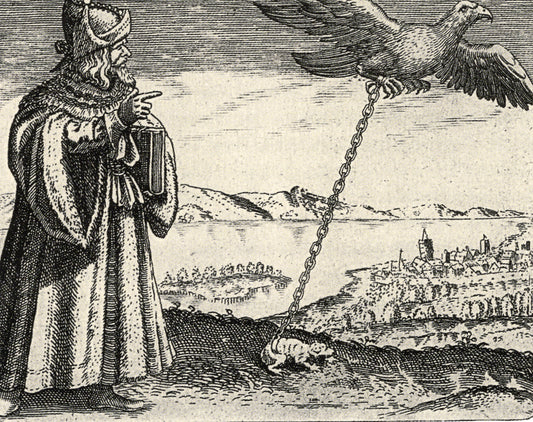 D. Stolcius von Stolcenberg - Viridarium Chymicum 6