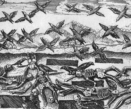 D. Stolcius von Stolcenberg 1624 3