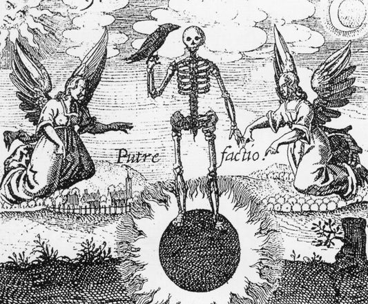 D. Stolcius von Stolcenberg 1624 1