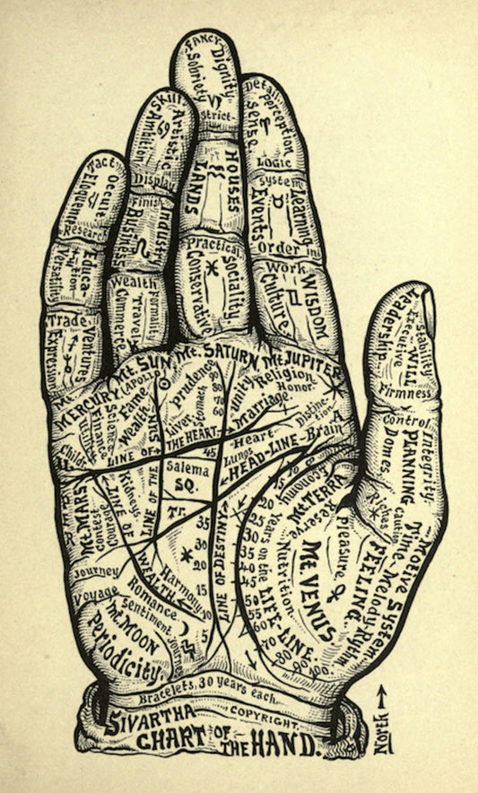 Dr Alesha Sivartha - Chart of the hand